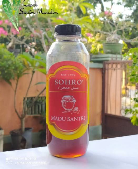 Madu Mesir Sohro Gurun pasir original/ Marjoram/ Sokhro/ Sohro' Honey