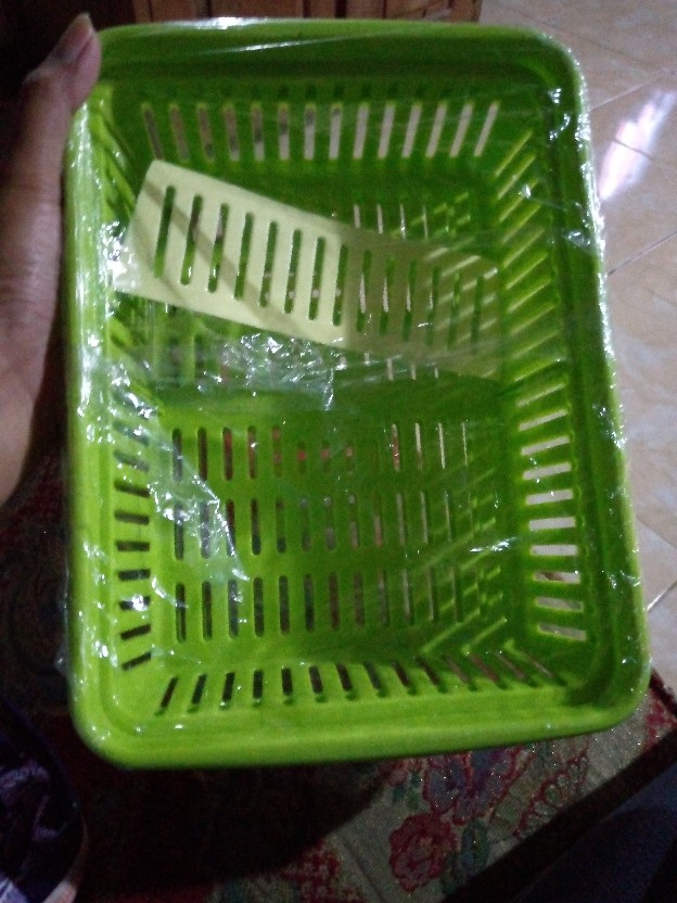 Tempat Bawang Lombok Hijau (tbl 1051 Golden Sunkist)