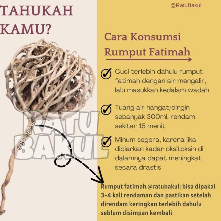 

{M-IVW) {♫) // rumput fatimah original kaff maryam fatimah asli {amanah)