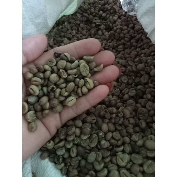 

Biji Kopi Arabica