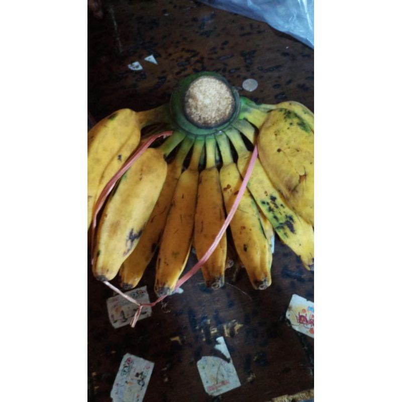 

Pisang Kepok / 1Sisir Uk Sedang