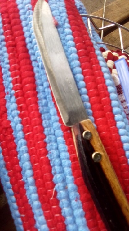 Pisau Dapur Stainless Gagang Kayu