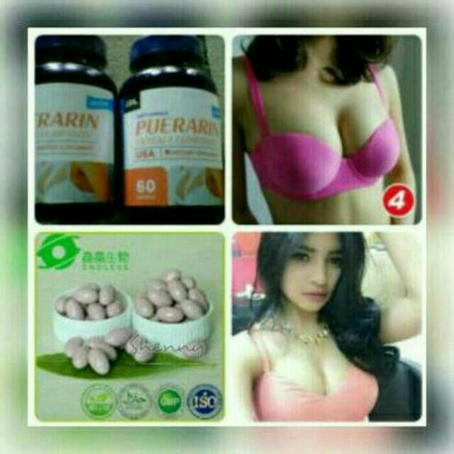 Obat herbal kapsul pembesar_payudara_montok_sehat