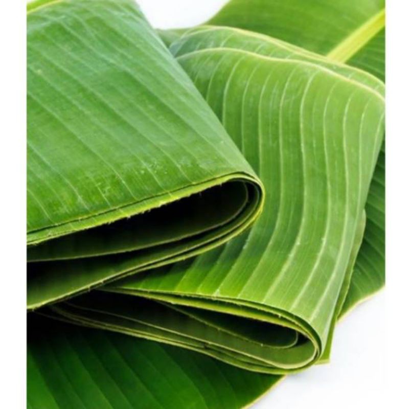 

grosir daun pisang seikat fresh