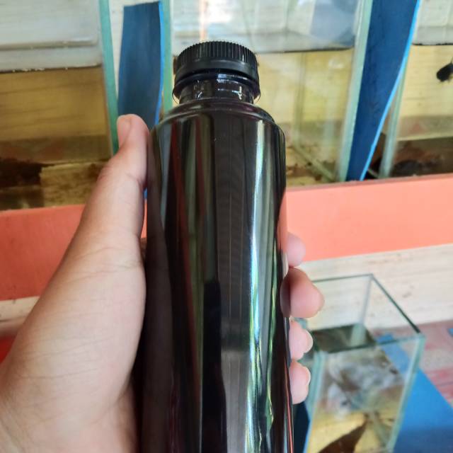 Mollases / tetes tebu / molase tambahan pakan kutu air & probiotik kolam