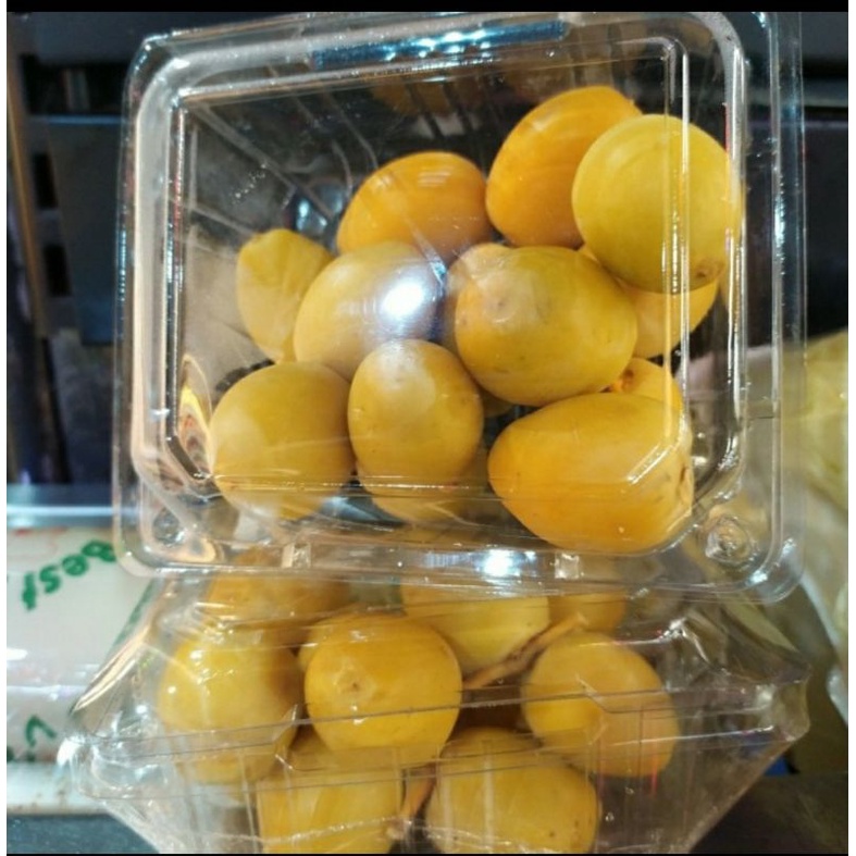 

kurma fresh date yellow | buah kurma kuning muda | 500 gr
