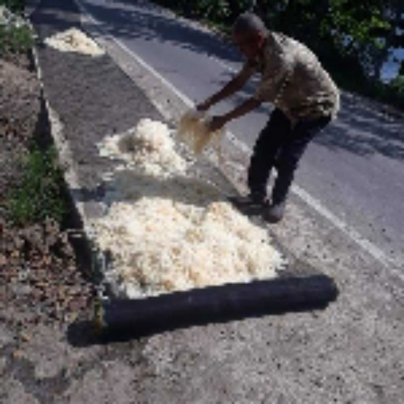 

rumput laut putih kering