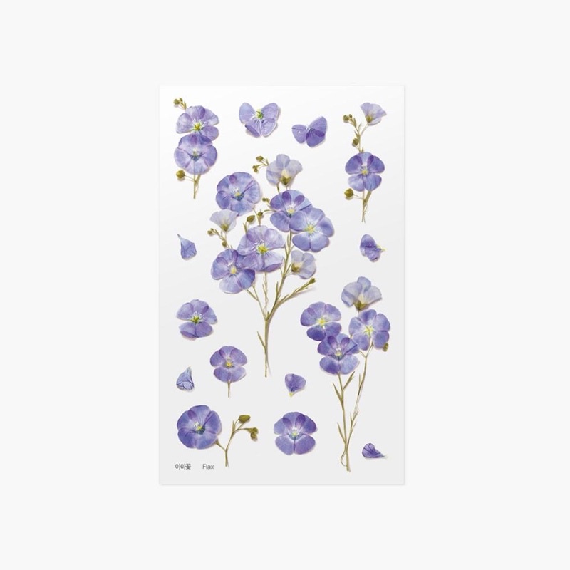 

Appree Pressed Flower Sticker - Flax