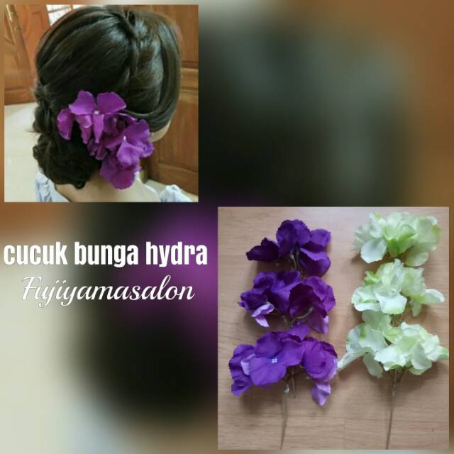 cucuk bunga hydra/bunga rambut/cucuk bunga cantik