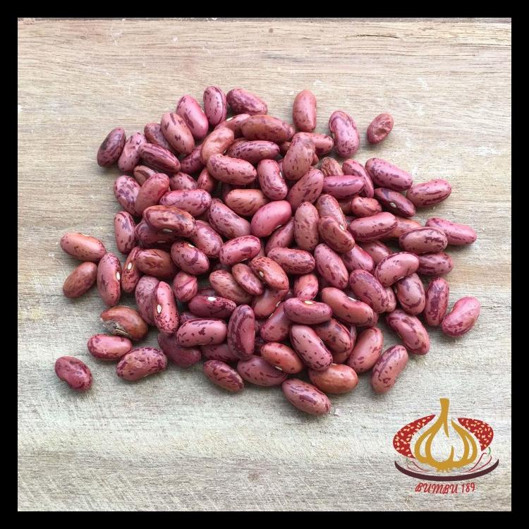 

KACANG MERAH JOGO PER KG BERKUALITAS