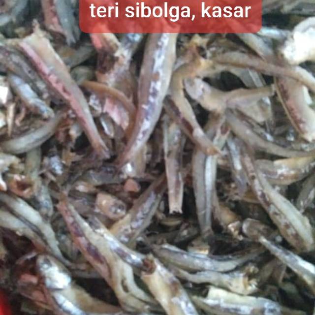 

Ikan teri sibolga, sangge dan pari