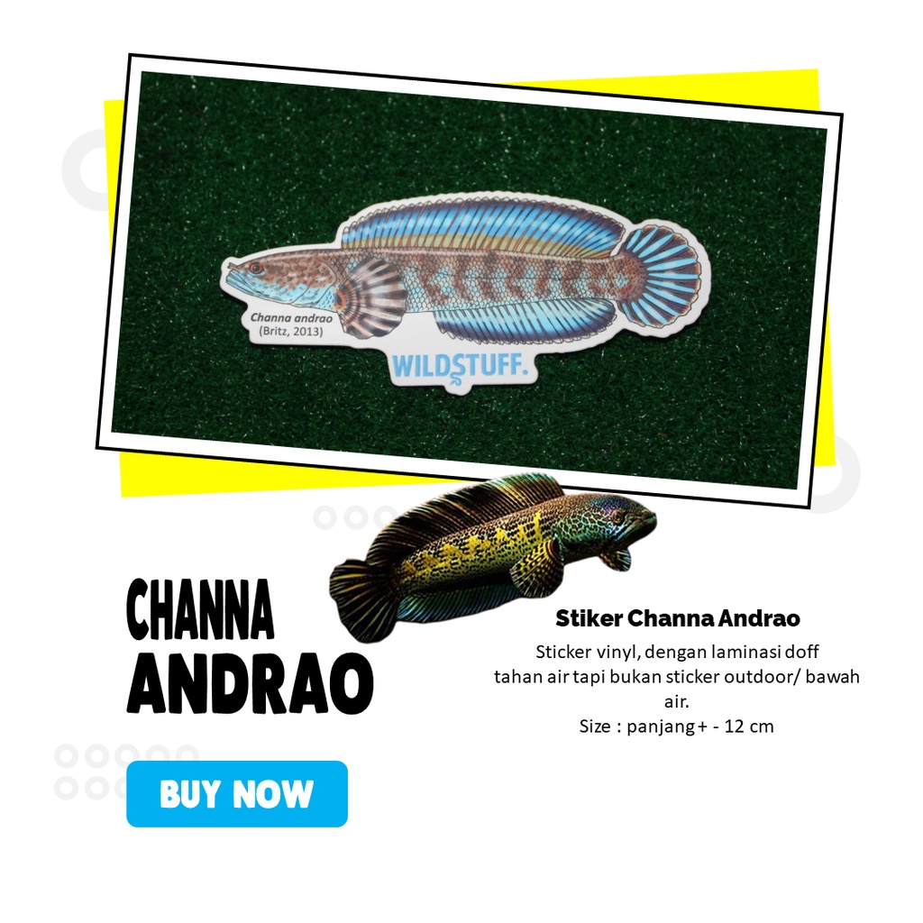 

Sticker Channa Andrao