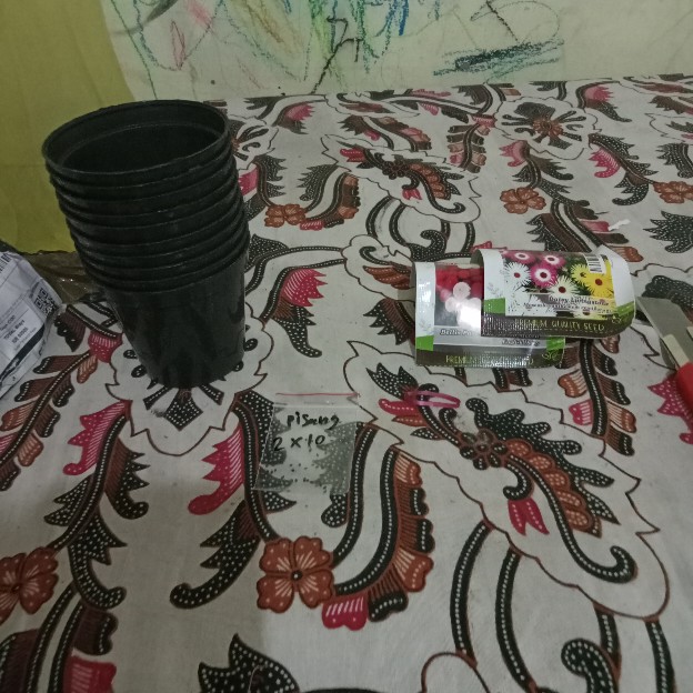 Benih Unggul Bunga Daisy Bellis Tasso Mix Haira Seed Bibit Cantik & Langka Viral 10 Biji