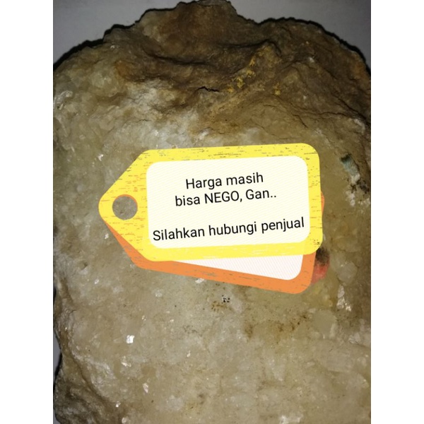 Batu Aquascape Iwagumi