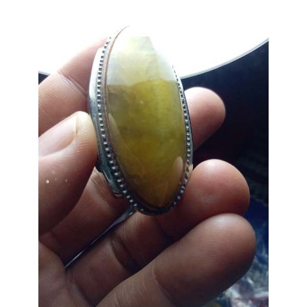 pandan lumut babon 400