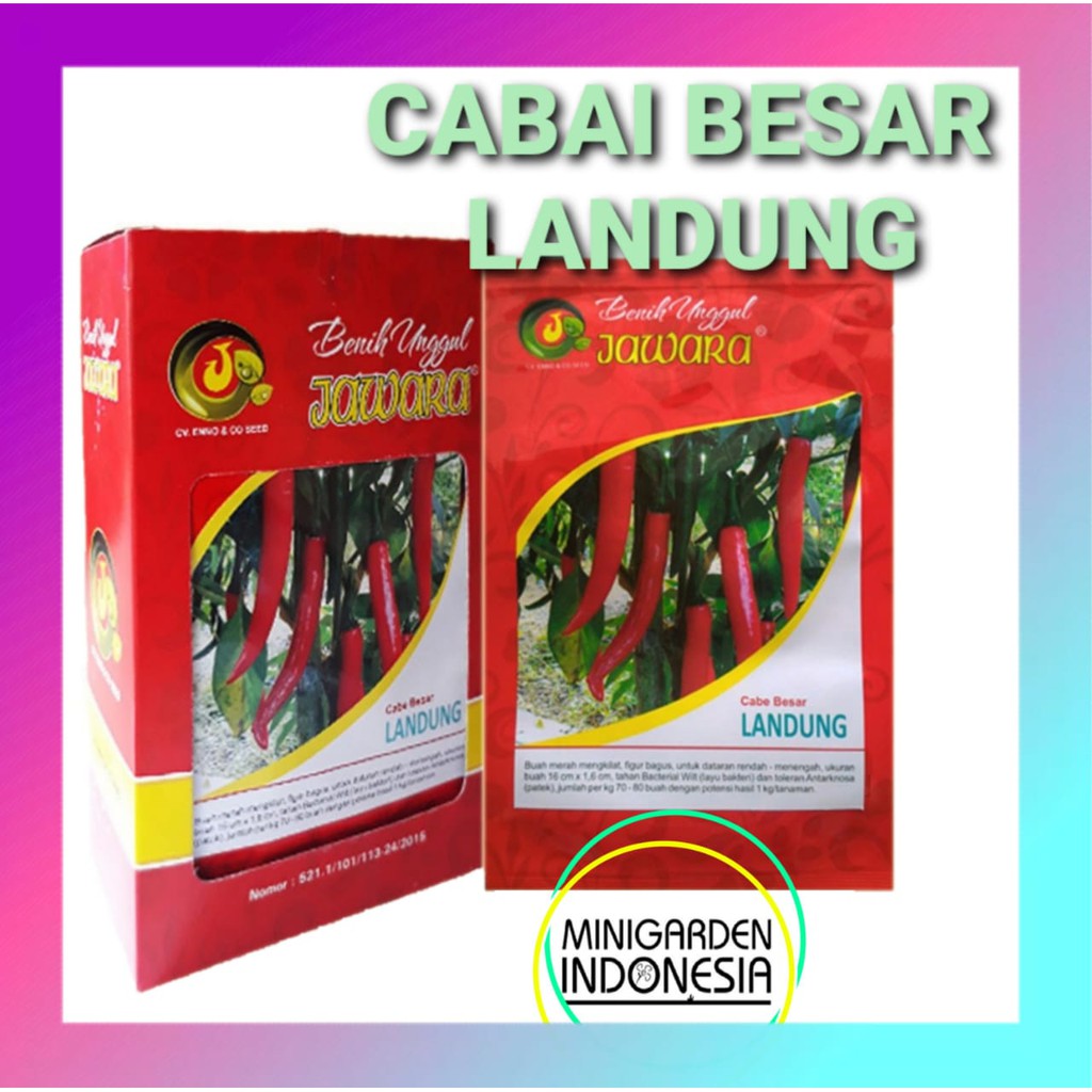 CABAI BESAR LANDUNG PACK 10 GRAM Benih Bibit Pertanian Cabe Cabai Merah Besar LANDUNG Jawara