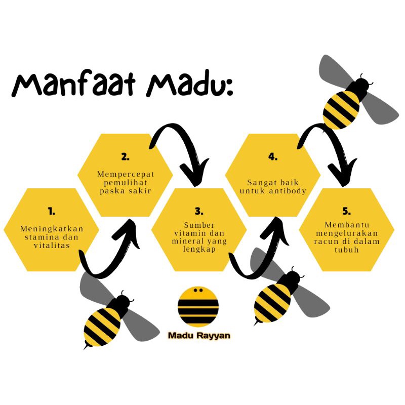 Madu Hutan Sialang Jambi/Forest Honey natural 5kg