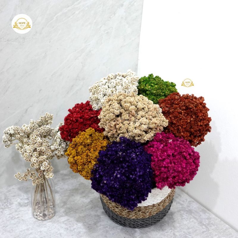 BUNGA KERING WARNA WARNI BUNGA HIAS KERING BUNGA RUSTIC