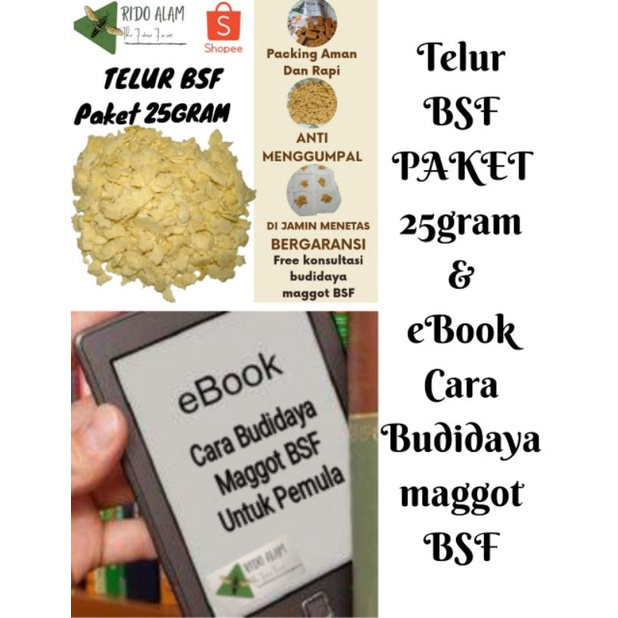 Telur maggot bsf 25 gram dan cara budidaya maggot bsf telur lalat bsf telur bsf fresh