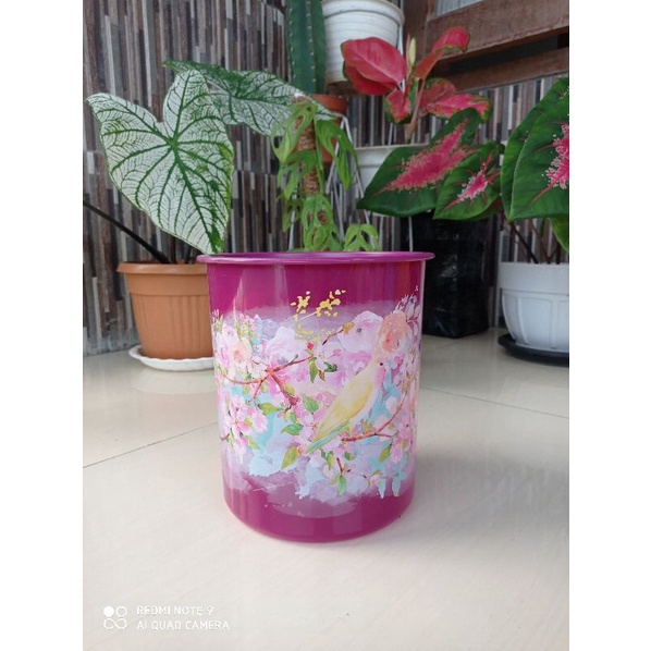 shabby chic canister Tupperware kapasitas 4L/toples promo Tupperware