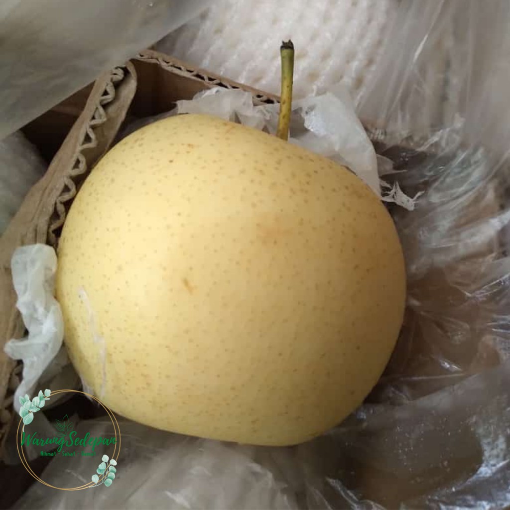 

Buah Pir Century 500 gr Pier Pear Century Enak Pir Segar Buah Segar Cikarang