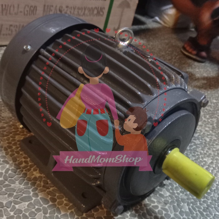 TST | TECO Penggerak motor 4 pole / 3 phase Dinamo elektro