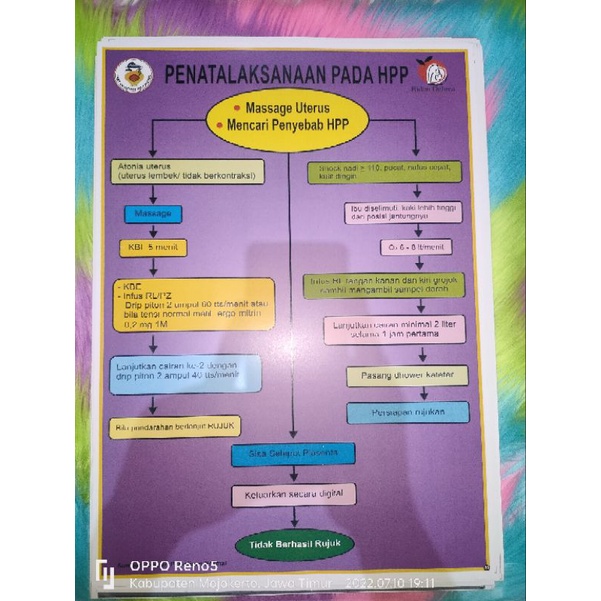 

Poster Penatalaksanaan Pada HPP New 2024