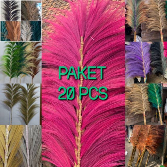 Bunga Rayung 20pcs dried flower bunga kering bunga Bunga Rayung 20pcs dried flower bunga kering bunga