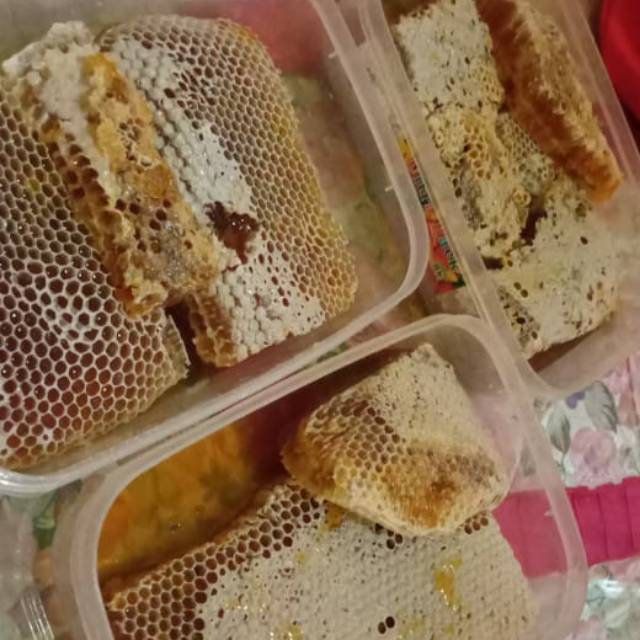 

Madu asli