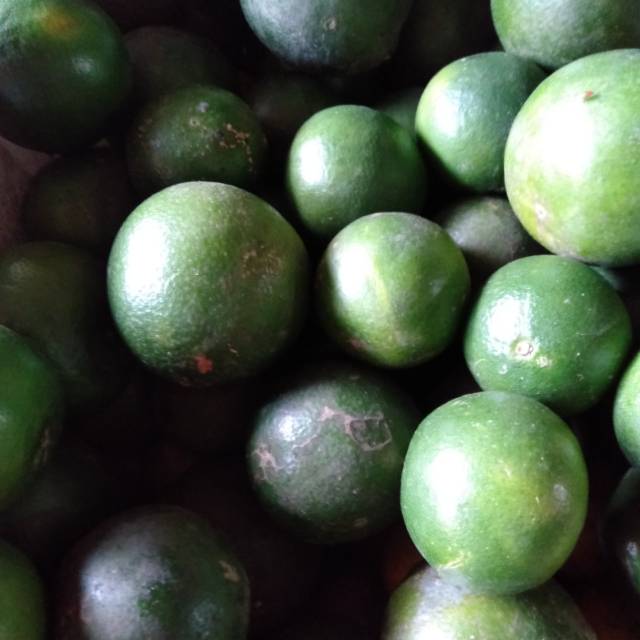 

Jeruk Nipis habis petik ~Lat Citrus 500 gram