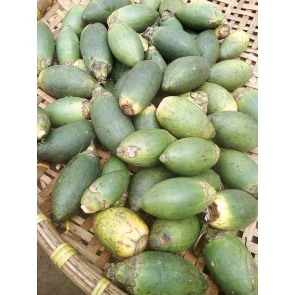 

buah pinang muda 1 kg