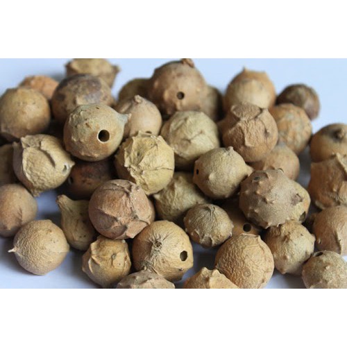 Bubuk Manjakani 250 g Serbuk Buah Majakan / Simplisia Majakani / Majaan Oak Gall