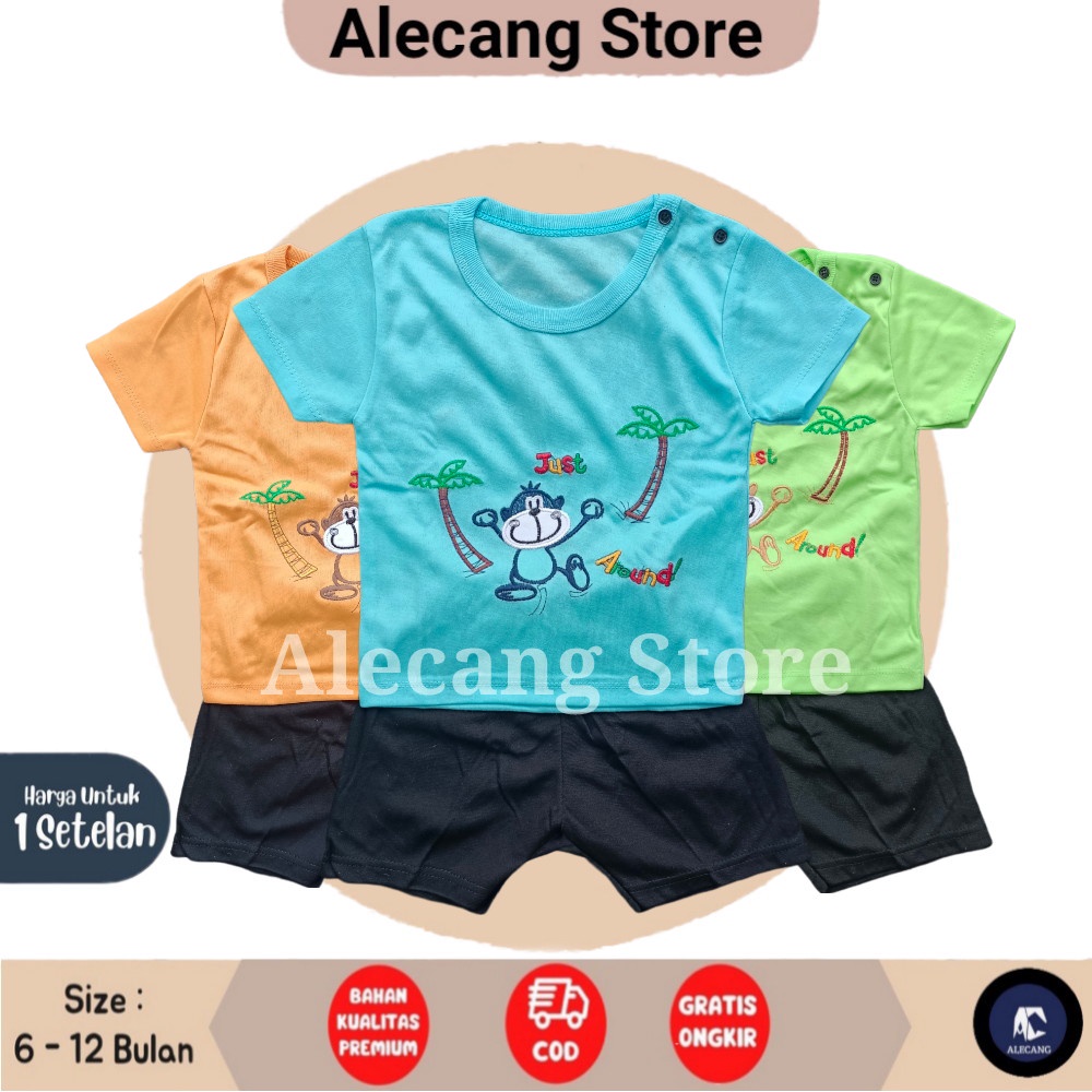 Setelan Pendek Baju Bayi Laki-laki size 6 - 12 Bulan Merk EDRYCA