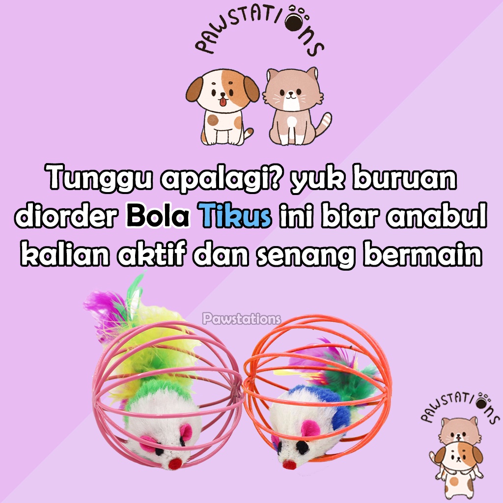 Bola Tikus Mainan Kucing Bola Isi Tikus