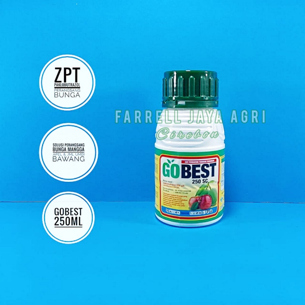 GOBEST 250 SC ZPT PERANGSANG PEMBUNGAAN MANGGA