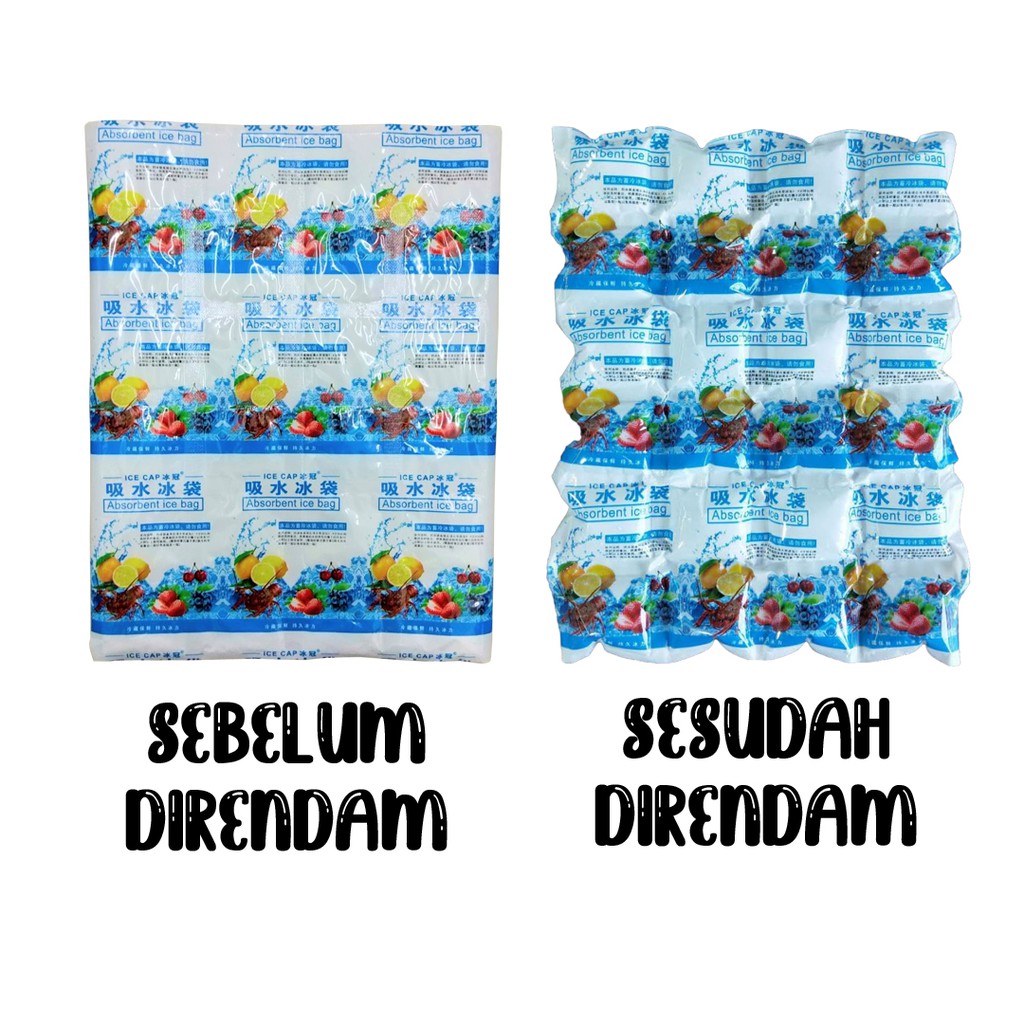 Ice Gel / Thermafreeze / Lembaran Pengganti Dry Ice Isi 24