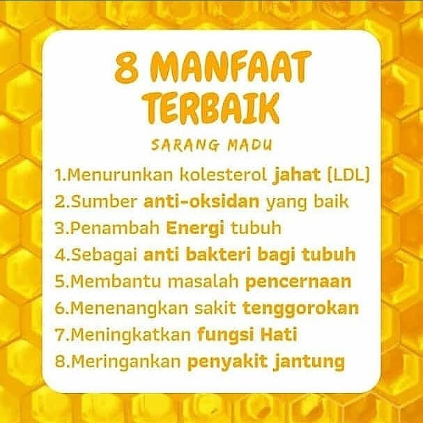 Sarang madu 250 gram madu sarang madu murni madu asli MADU SARANG MELIFERA