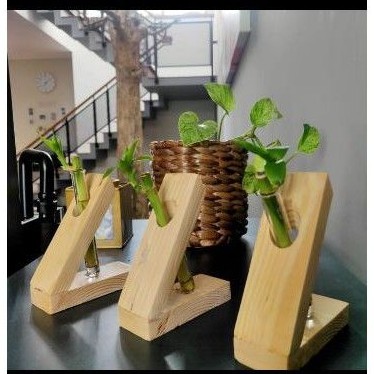 pot bunga tabung reaksi dengan kayu jati belanda