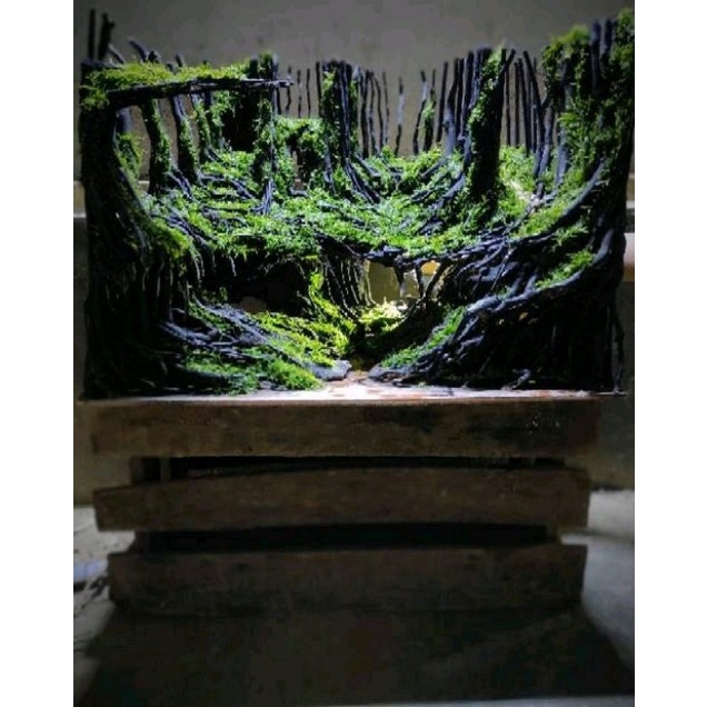 hardscape jungle buat tank 60cm