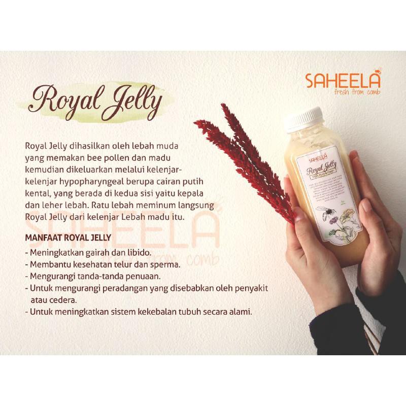 Simak Manfaat Royal Jelly Untuk Promil 