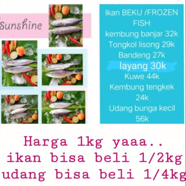 

ikan beku