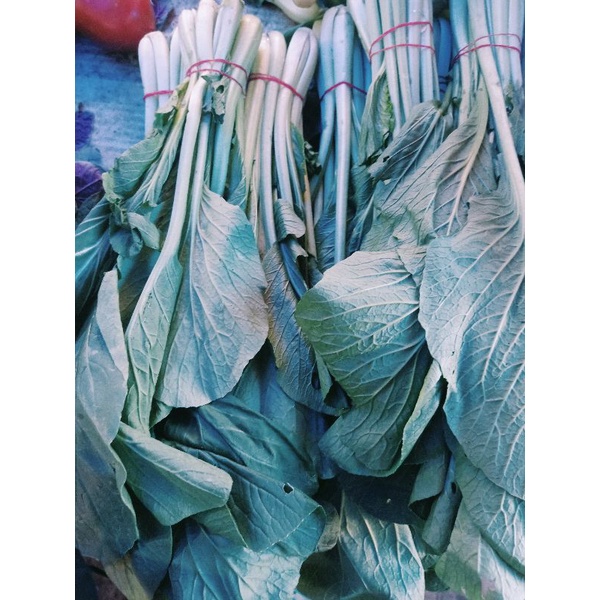 

Sayur Segar Cesim 3 Ikat