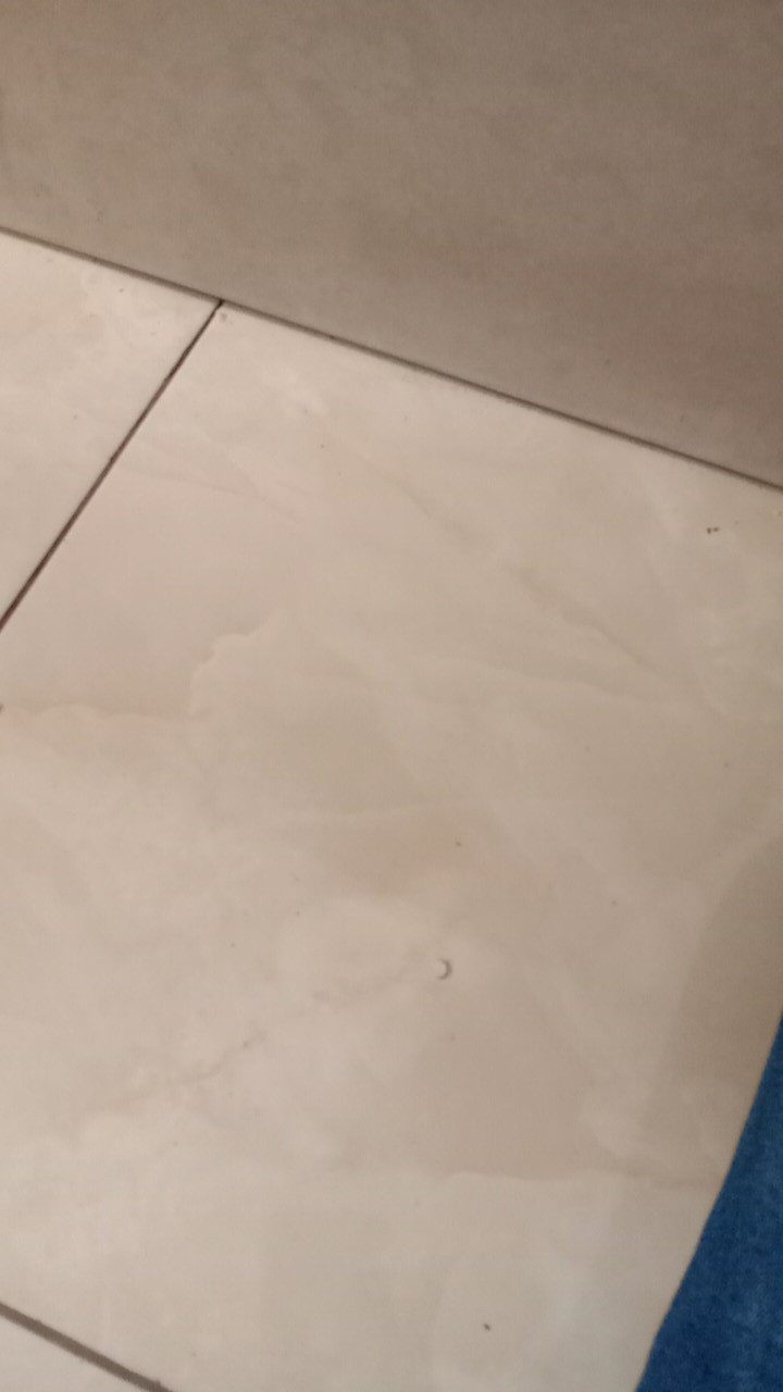 Pisau Dapur Buah Sayur Kecil Gagang Sarung Plastik