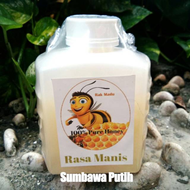 

Madu Sumbawa Putih RakMadu