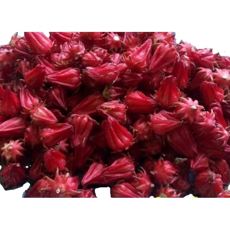

Bunga rosella basah/Teh rosella 250 gr.