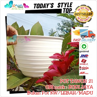 POT TAWON 21 CM PUTIH POT MADU 25 POT PLASTIK BUNGA POT TAWON 21 CM PUTIH POT MADU 25 POT PLASTIK BUNGA