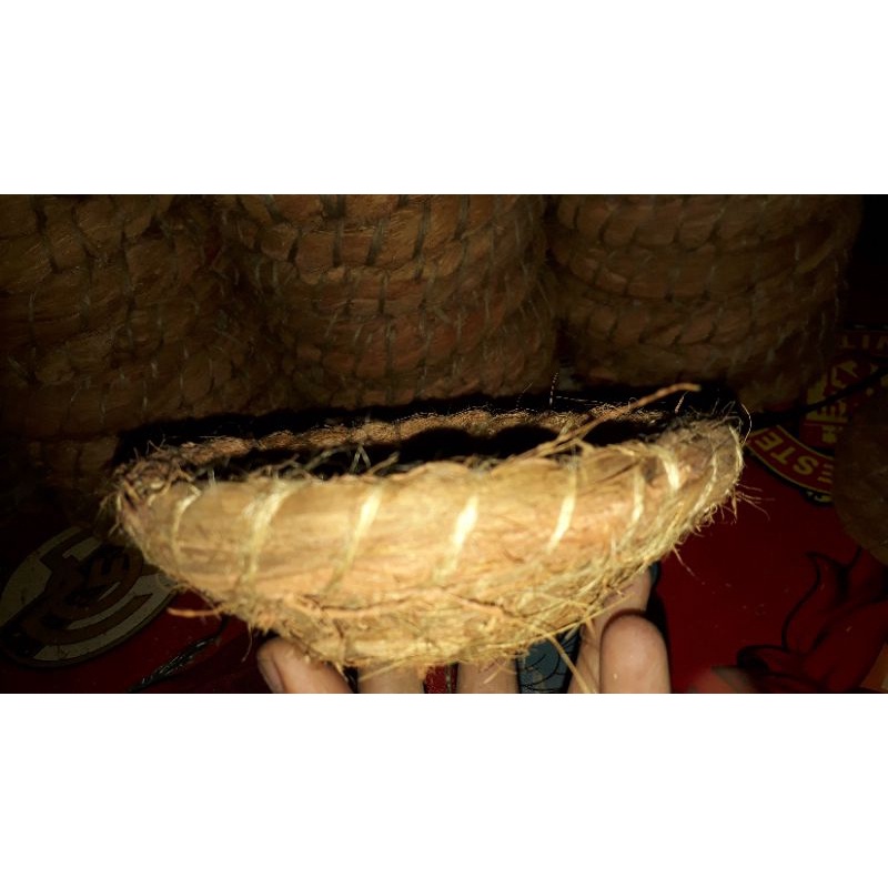 Sarang Burung Perkutut