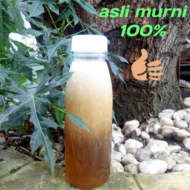 

Madu asli Hutan Pati Jawa Tengah