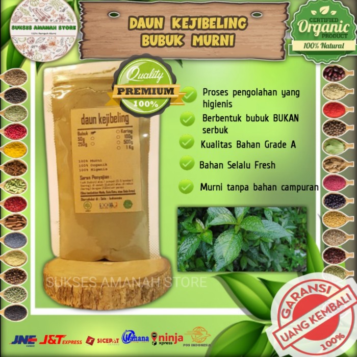

Daun Keji Beling Bubuk Murni 100 gram Strobilanthes Crispa