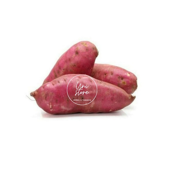 

(COD) 1kg ubi jalar pulen